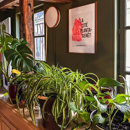 Duplex In The Heart Of Old